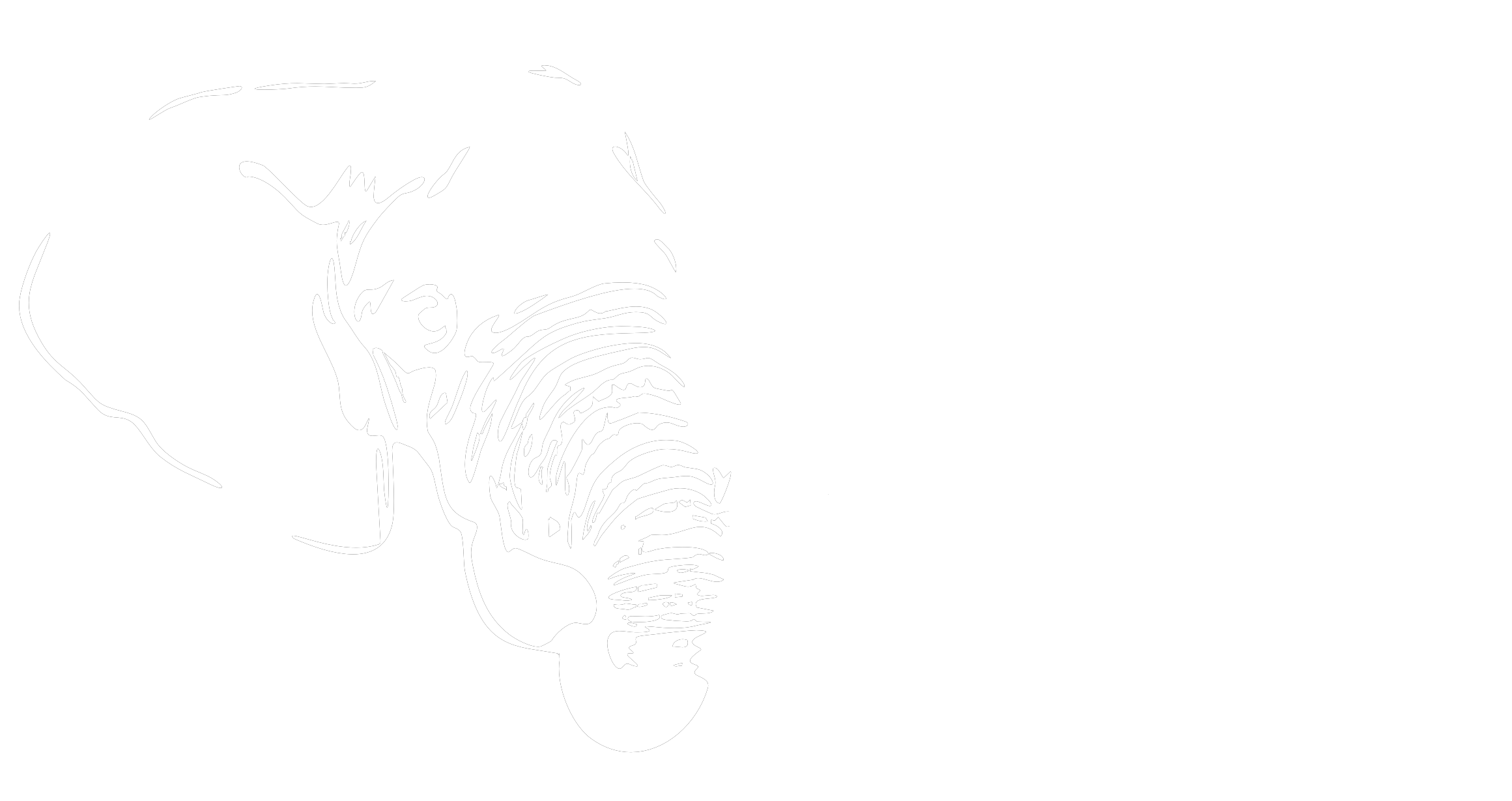 African Askari Safaris